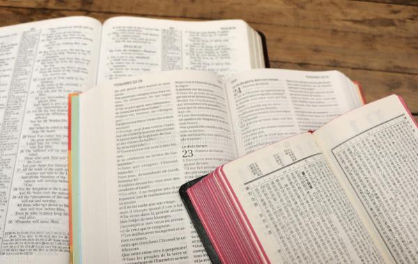 汉语言文学专业学什么就业方向