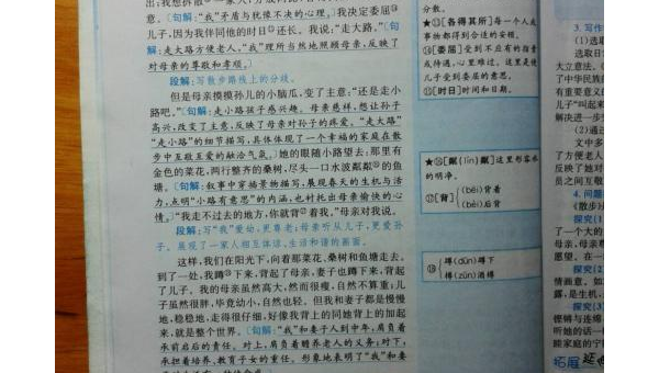 初一七科成绩多少正常